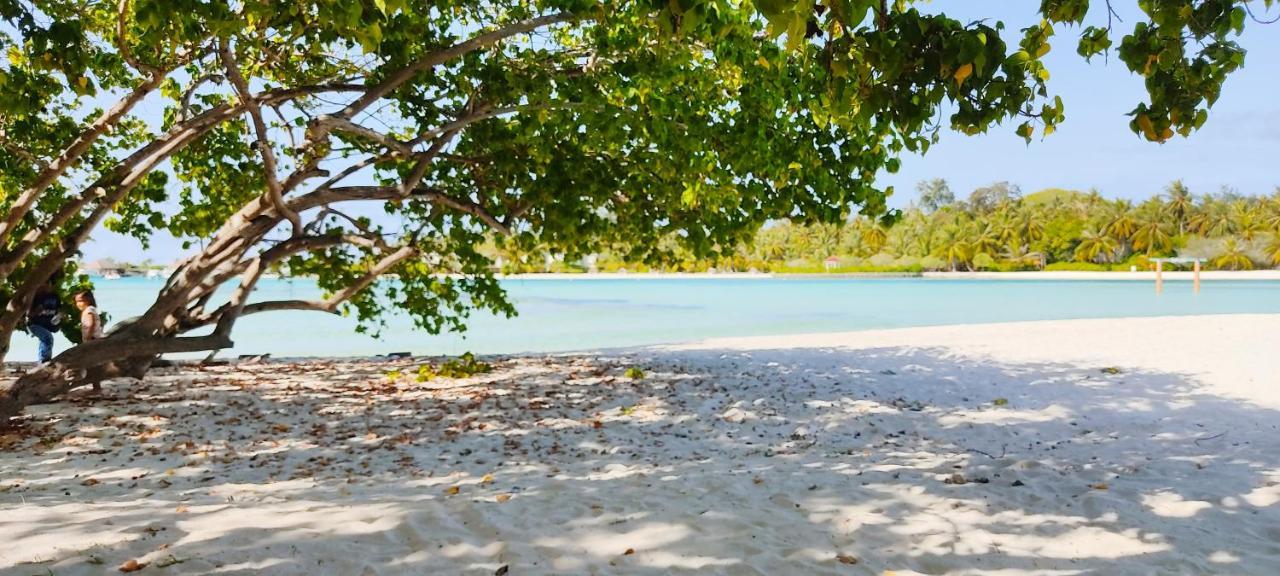 Hotel La Isla Tropica Guraidhoo  Exteriér fotografie