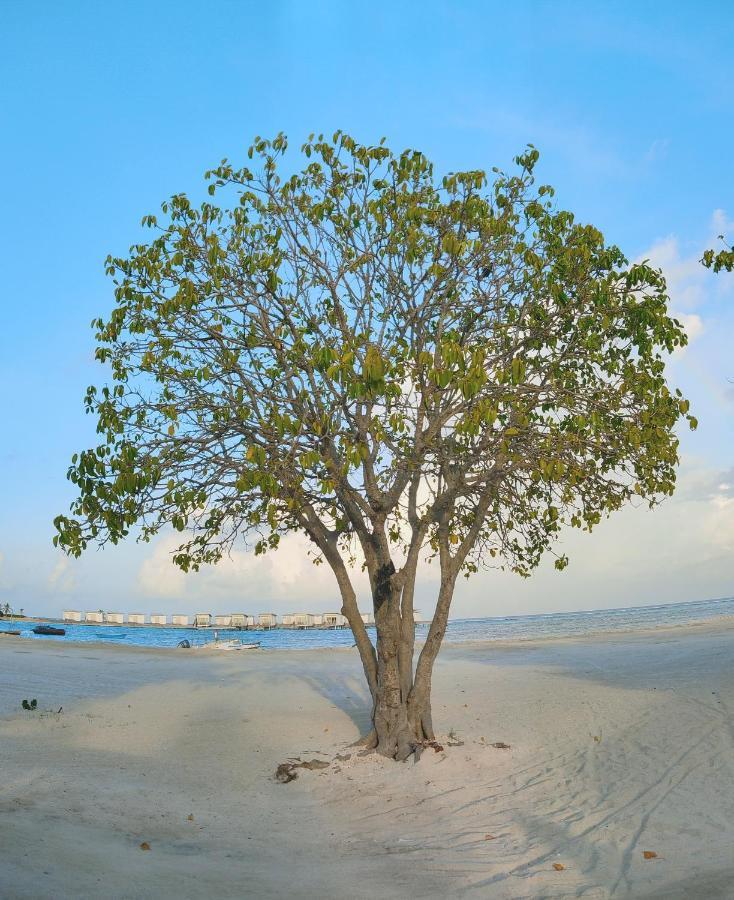 Hotel La Isla Tropica Guraidhoo  Exteriér fotografie