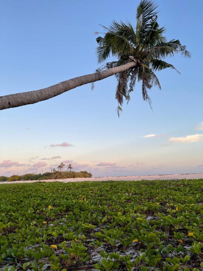 Hotel La Isla Tropica Guraidhoo  Exteriér fotografie