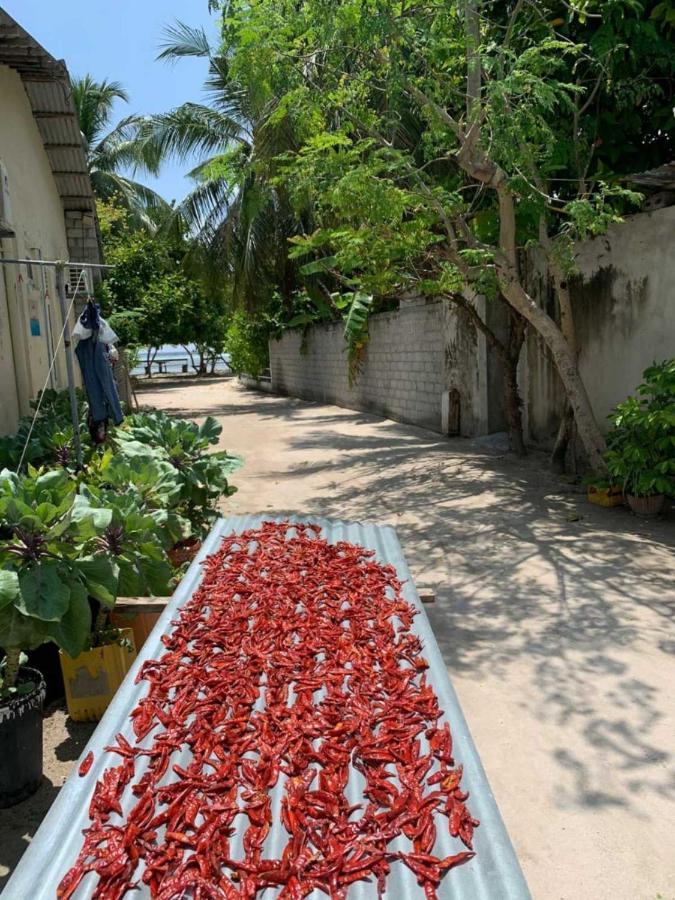 Hotel La Isla Tropica Guraidhoo  Exteriér fotografie