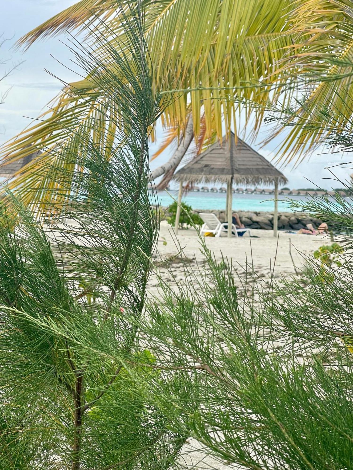Hotel La Isla Tropica Guraidhoo  Exteriér fotografie