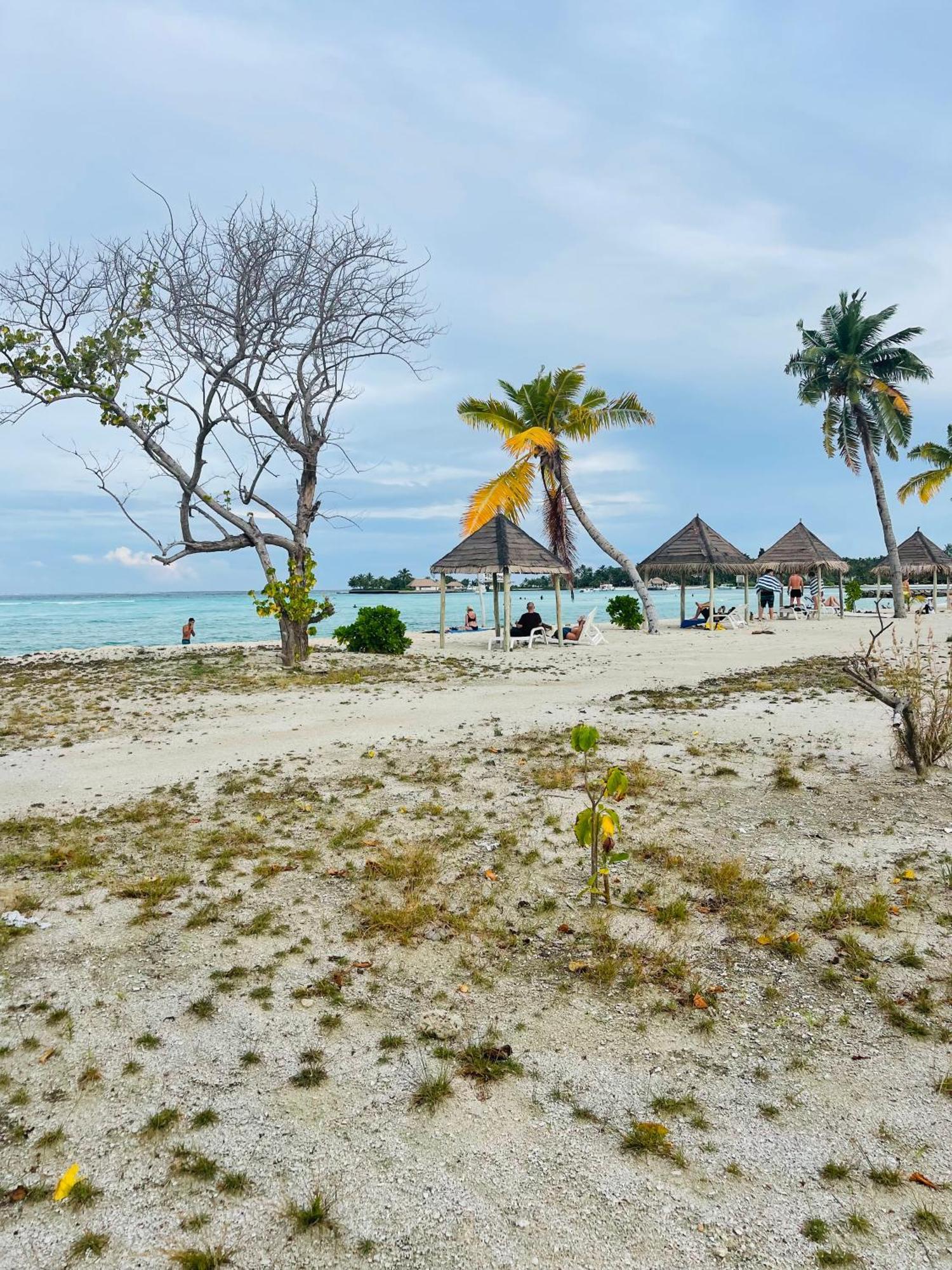 Hotel La Isla Tropica Guraidhoo  Exteriér fotografie